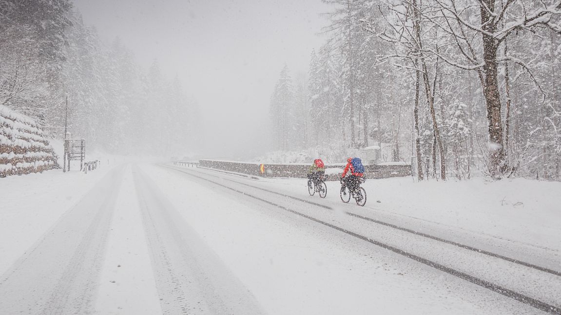 ALPEN FILM FESTIVAL DOK.fest München