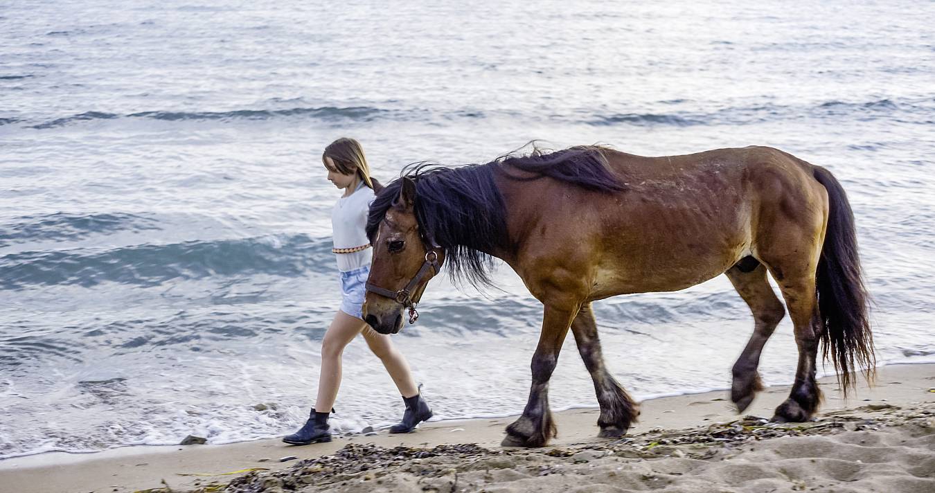 MIT CASANOVA ANS MEER