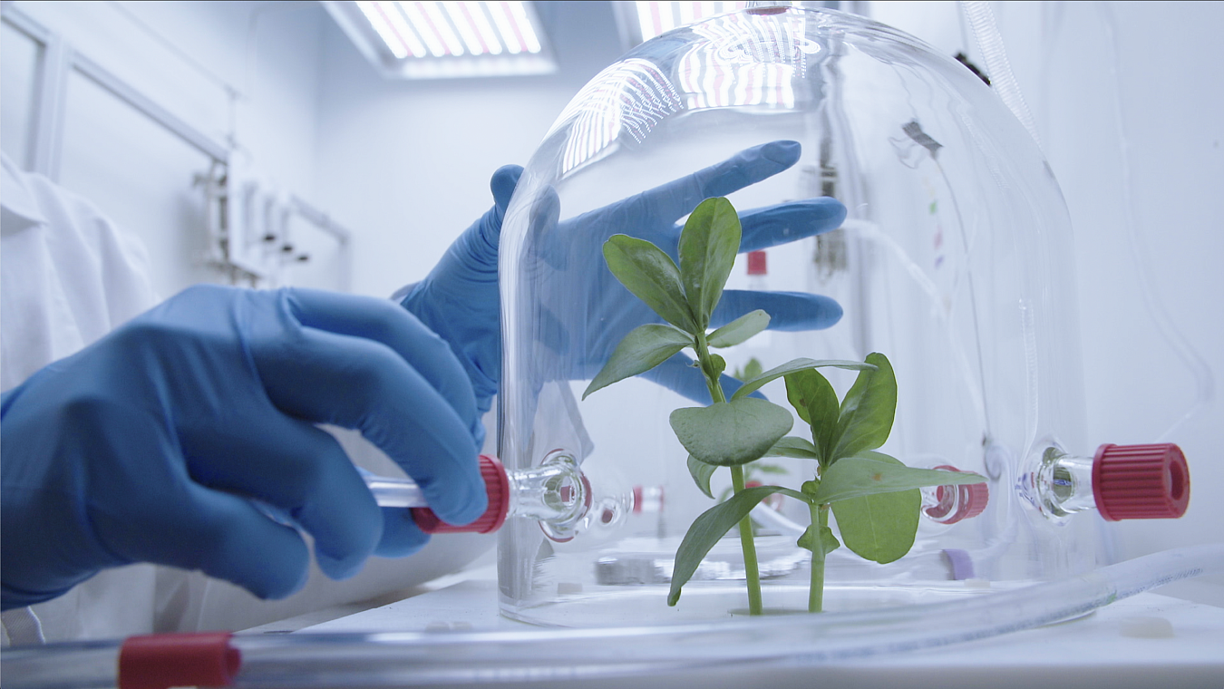 VON PFLANZEN UND MENSCHEN