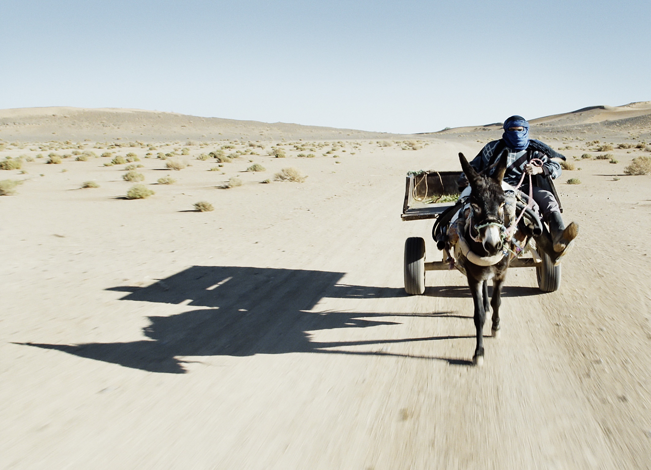 Afbeeldingsresultaat voor untitled willi