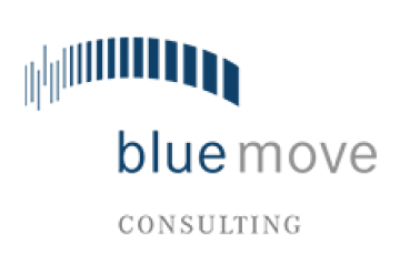 Bluemove consulting